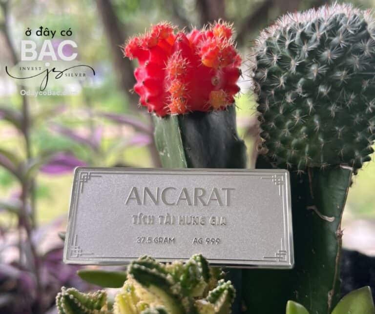 Bạc miếng Ancarat 1 lượng