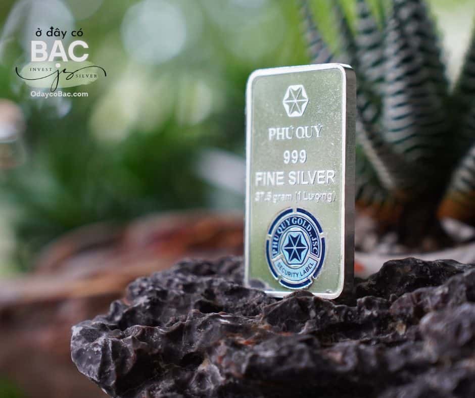 Bạcc miếng Phú Quý
